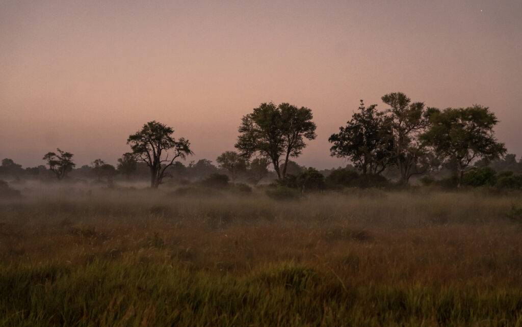 Morning view at Xakanaxa