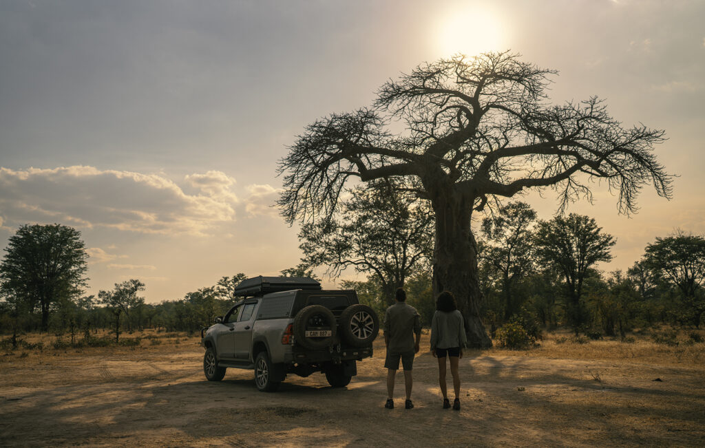 couple next to a baobab in zambia 