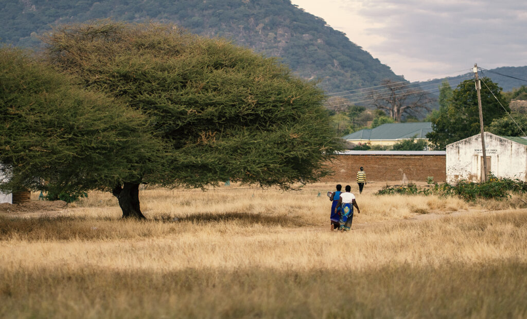 Lake malawi life 