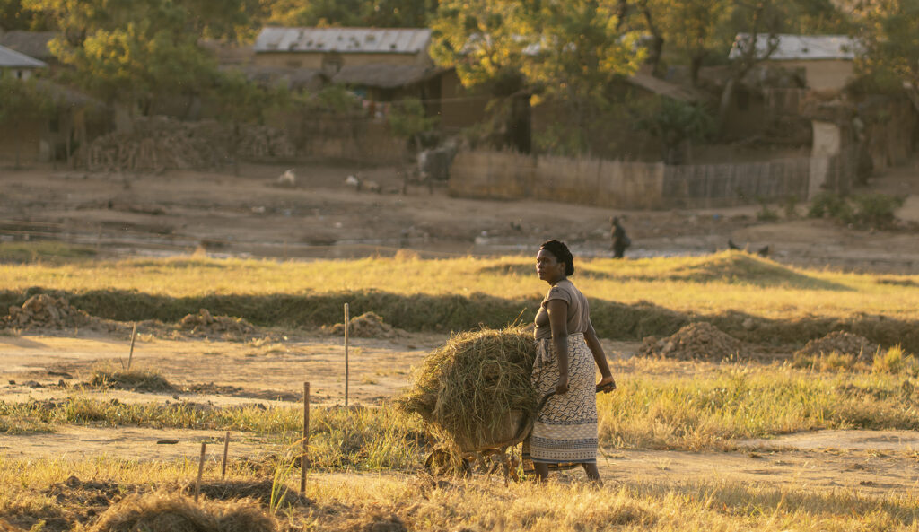 woman working the field in malawi 
