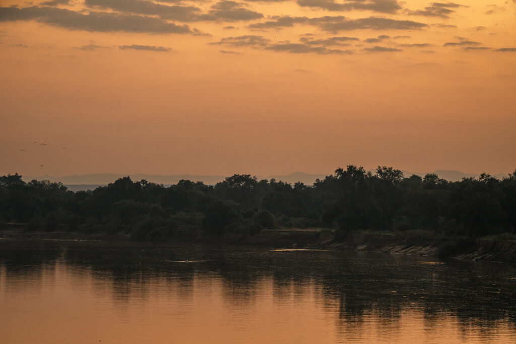 luangwa river at sunset 