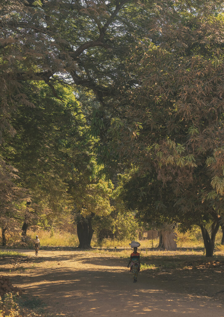 zambian village 